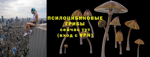 амф Алексин