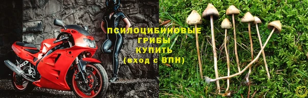 амф Алексин