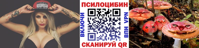 Псилоцибиновые грибы мицелий Николаевск-на-Амуре